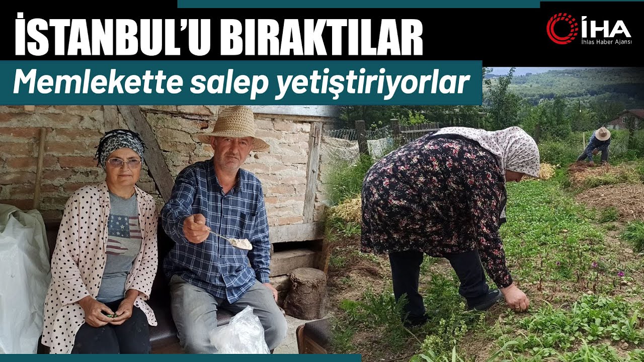 İki Kardeş Emeklilikte Salep Yetiştiriciliğine Başladı