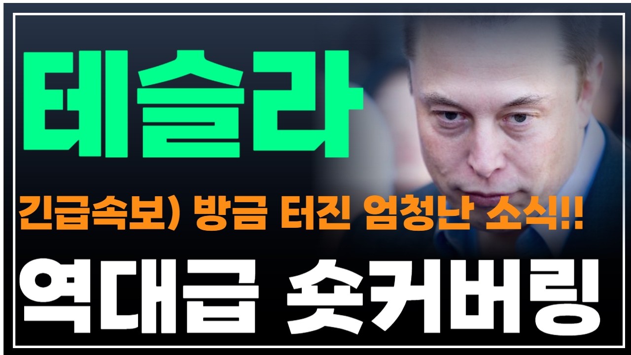 [테슬라 주가분석] 긴급속보) 방금 터진 엄청난 소식!! 역대급 숏커버링  #자율주행 #옵티머스 #휴머노이드로봇