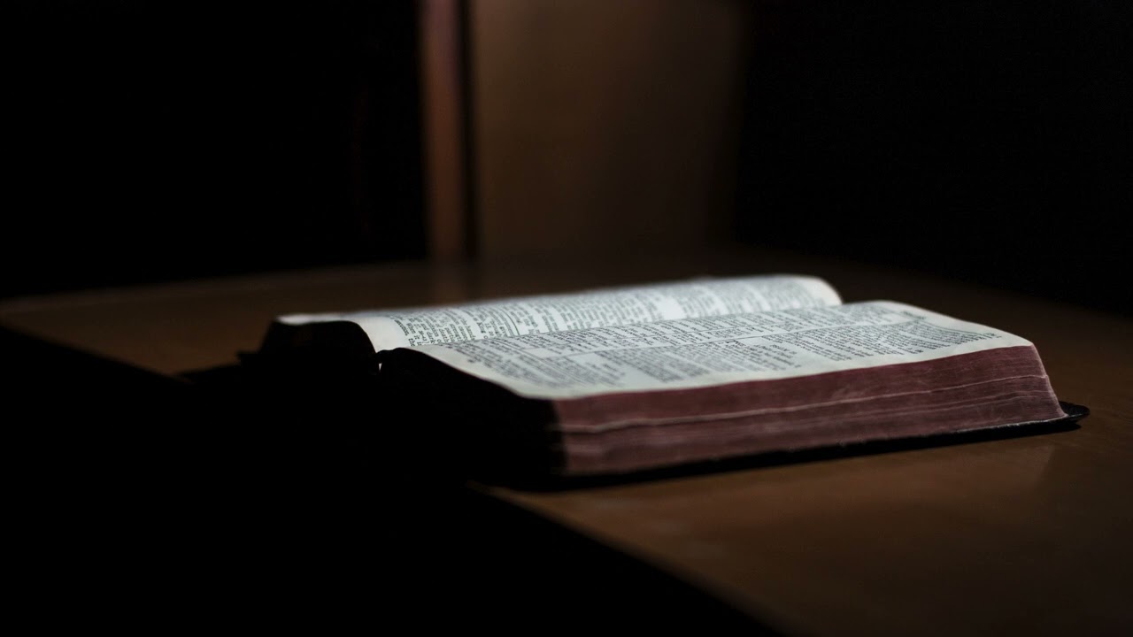 Lectura #2, Génesis 4-7