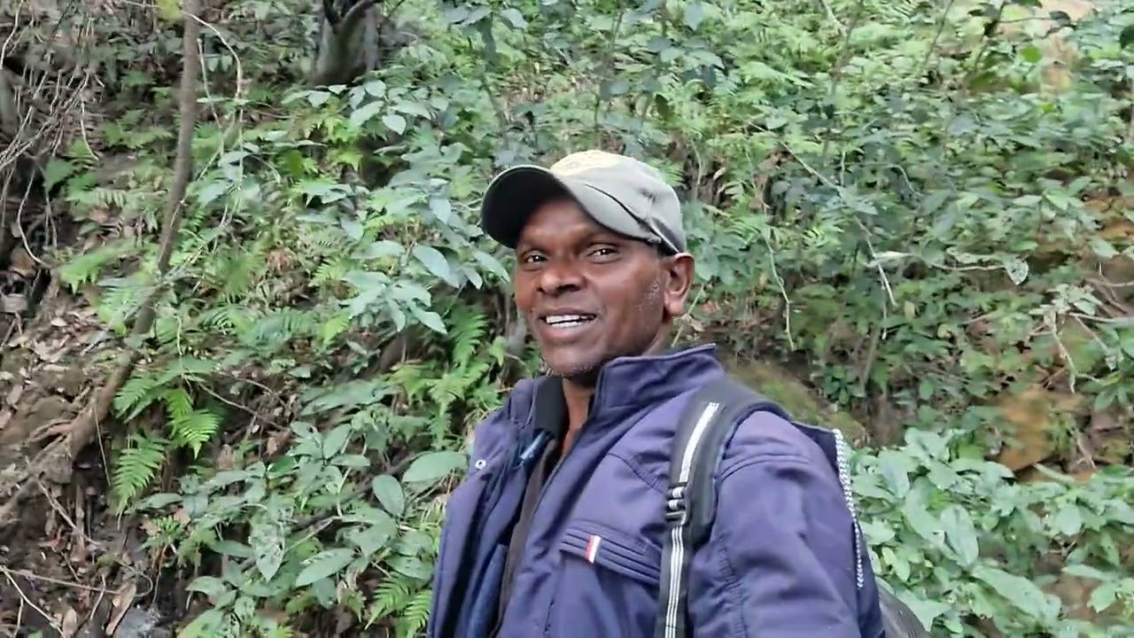 दुर्लभ प्रजाति के पौधे की खोज...दुर्लभ प्रकृति निहार चैनल...