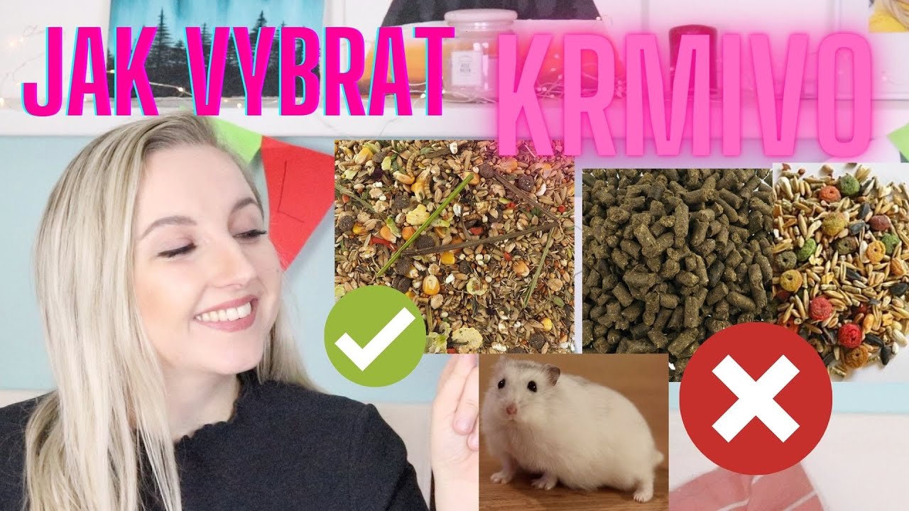 Jak vybrat správné krmivo pro křečky? |  Konkrétní typy krmiv | Kolik směsi dávat