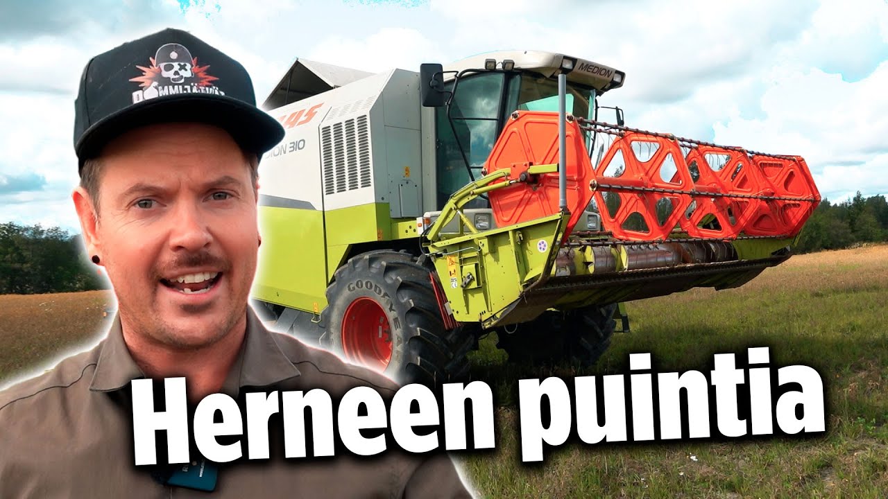 Herneen puintia 2025!