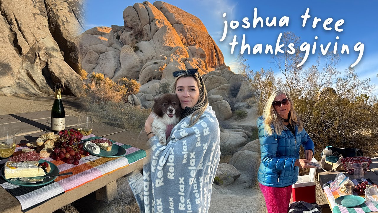 an unconventional thanksgiving + should I get a dog???