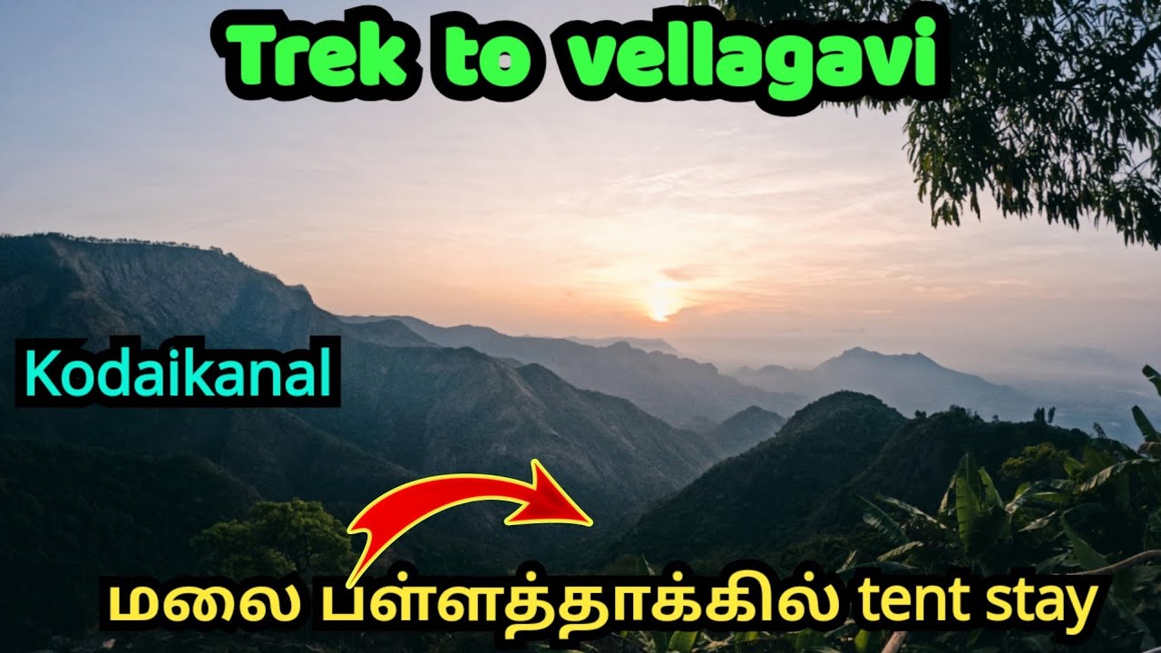 கொடைக்கானல் மலை சரிவில் Tent Stay|Trek to vellagavi village|3 hours walk