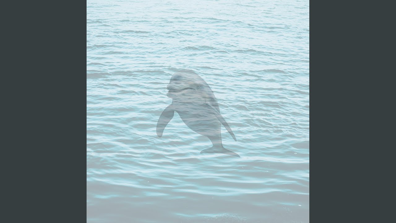 Dolphin Splash It When I Whip It