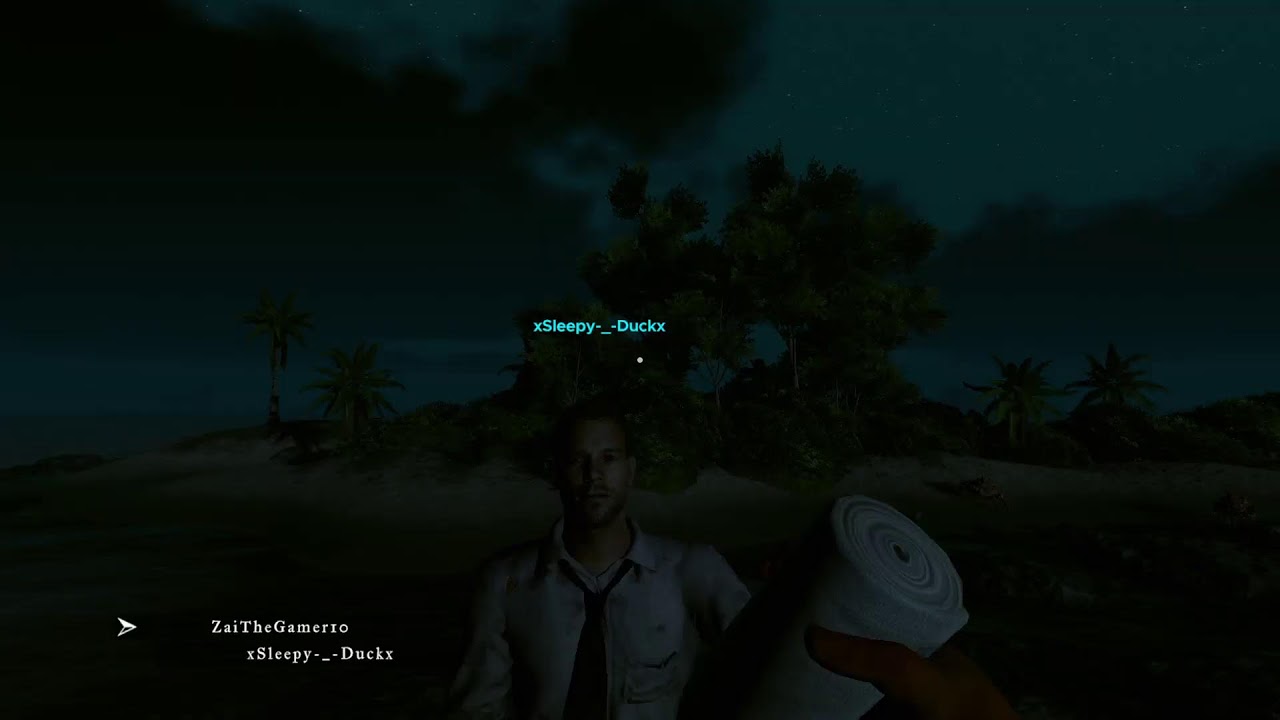 Stranded deep