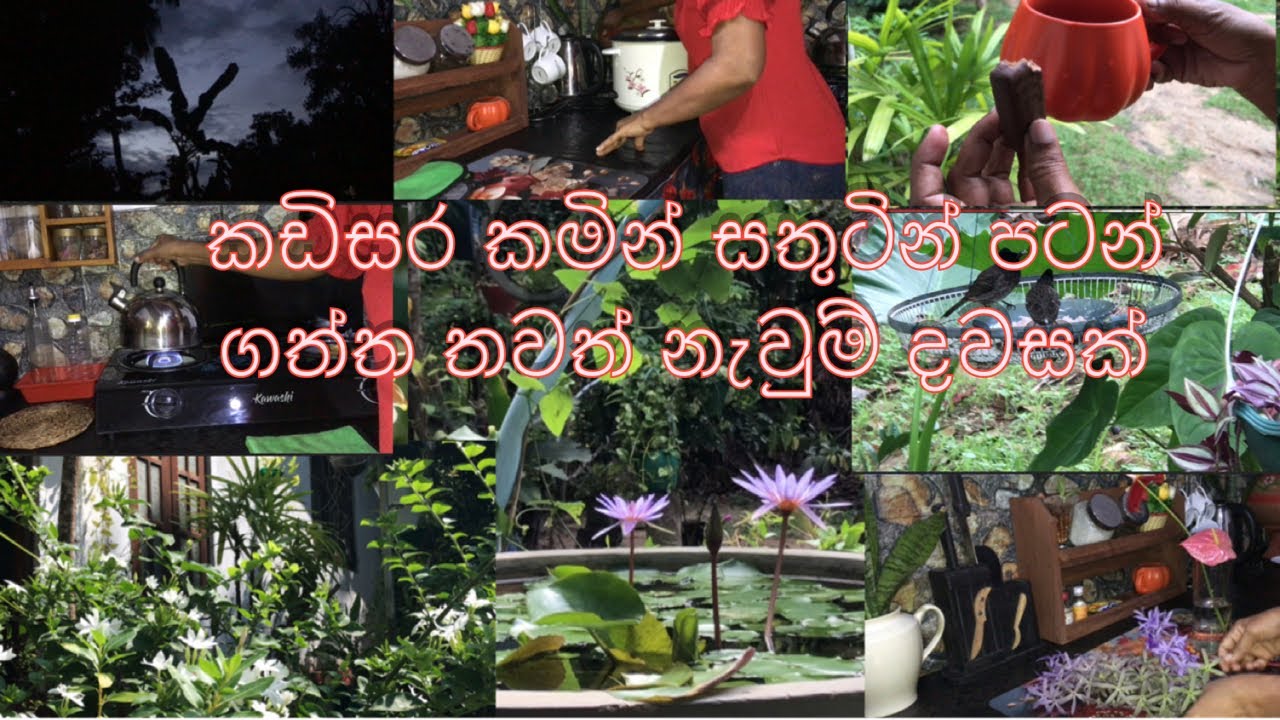 කඩිසරකමින් සතුටින්ම ගතකල තවත් නැවුම් දවසක්💁🏻‍♀️🏡