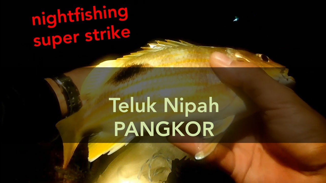 Karen menebing di teluk nipah pulau pangkor,
