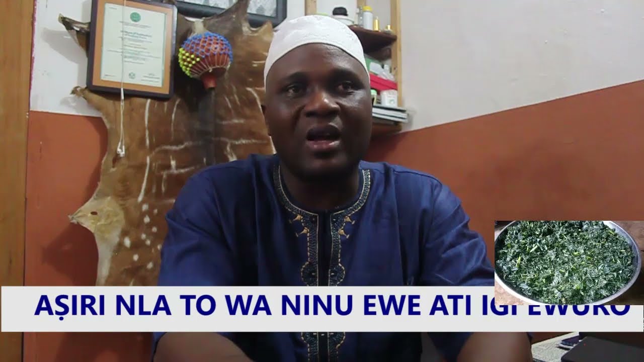 IWULO PATAKI TI EWE EWURO ATI IGI Ẹ NI FUN ITỌJU ATI IWOSAN AWA ẸDA