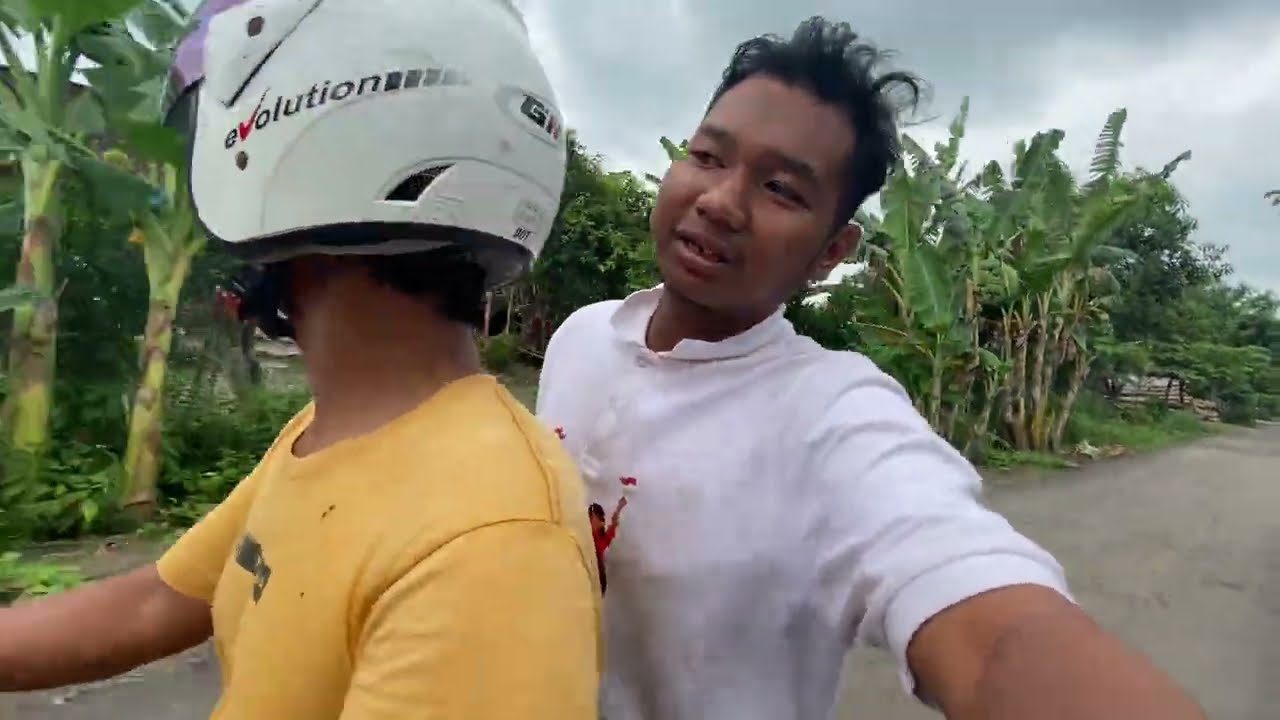 BELI BIBIT GURAME SEKALIAN LIHAT PETERNAKAN YOKO