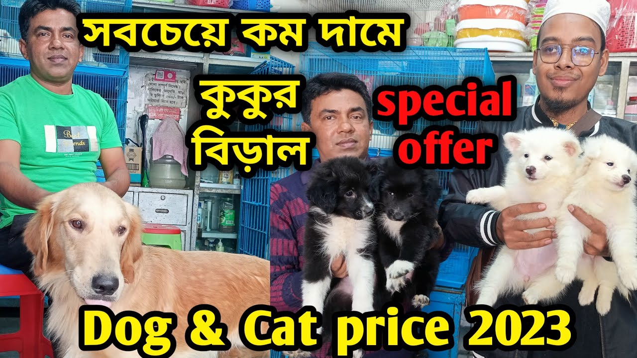 Katabon animal market in bangladesh|German Shepherd| Lhasa Apso| Persian Cat| Dog and cat price 2023