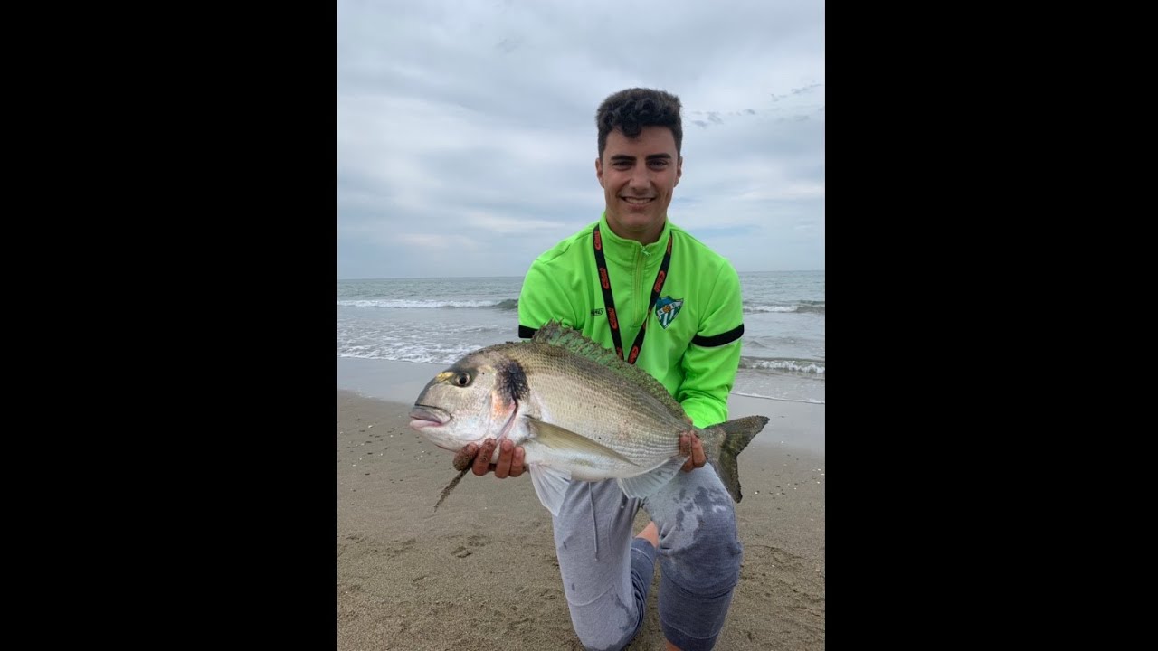DORADA XXL  EN MÁLAGA. 3,400 KG.