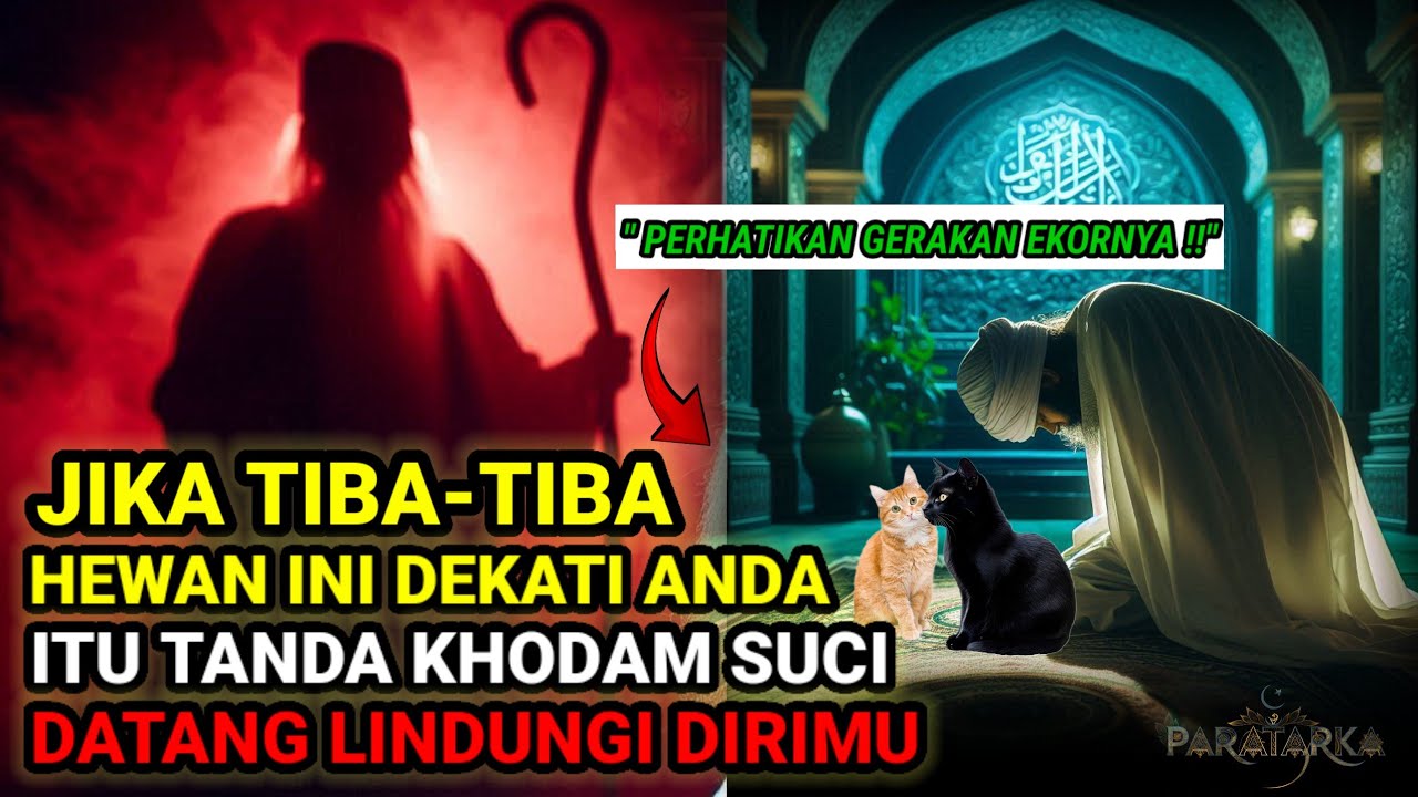JANGAN ABAIKAN❗ TANDA DARI HEWAN INI YANG MENANDAKAN RIBUAN KHODAM SUCI DATANG KE DIRIMU 