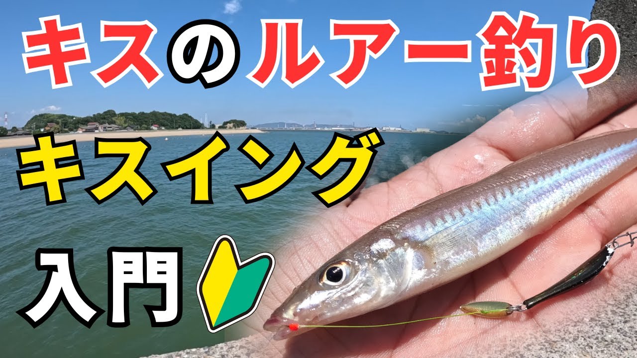 【黒崎漁港】キスのルアー釣り「キスイング」入門