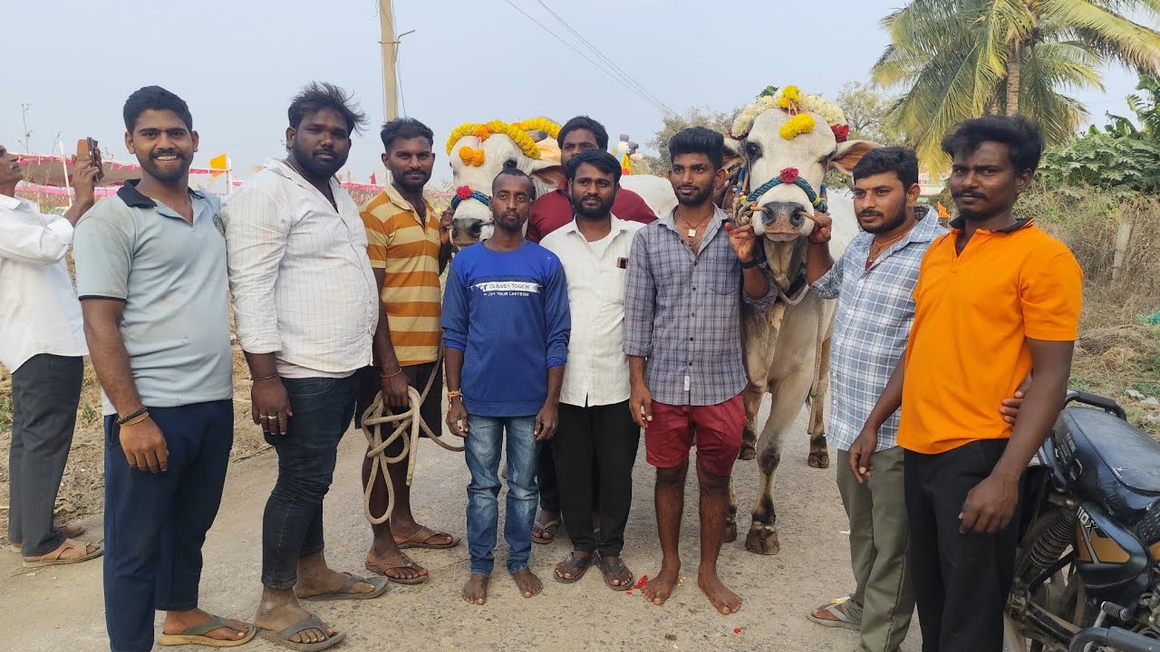 కడప జిల్లా పులివెందుల మండలం వెంకటాపురం సీనియర్స్ విజేతలు 🥇🏆🎉