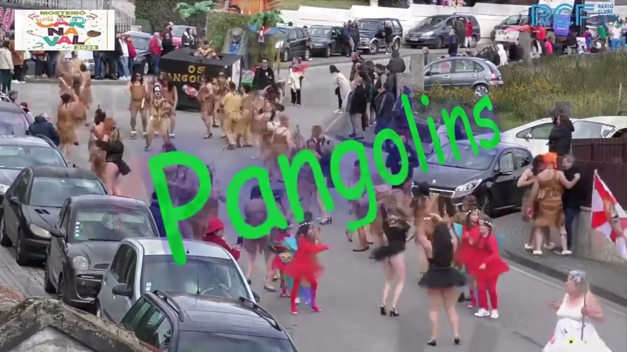 Carnaval Mosteirô 2025