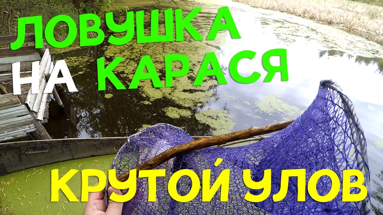 Как поймать карася на ятерь/вершу. Самодельная ловушка на карася