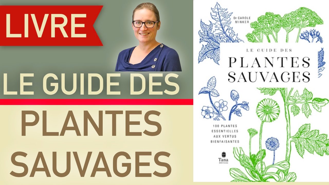 le guide des plantes sauvages, Carole Minker
