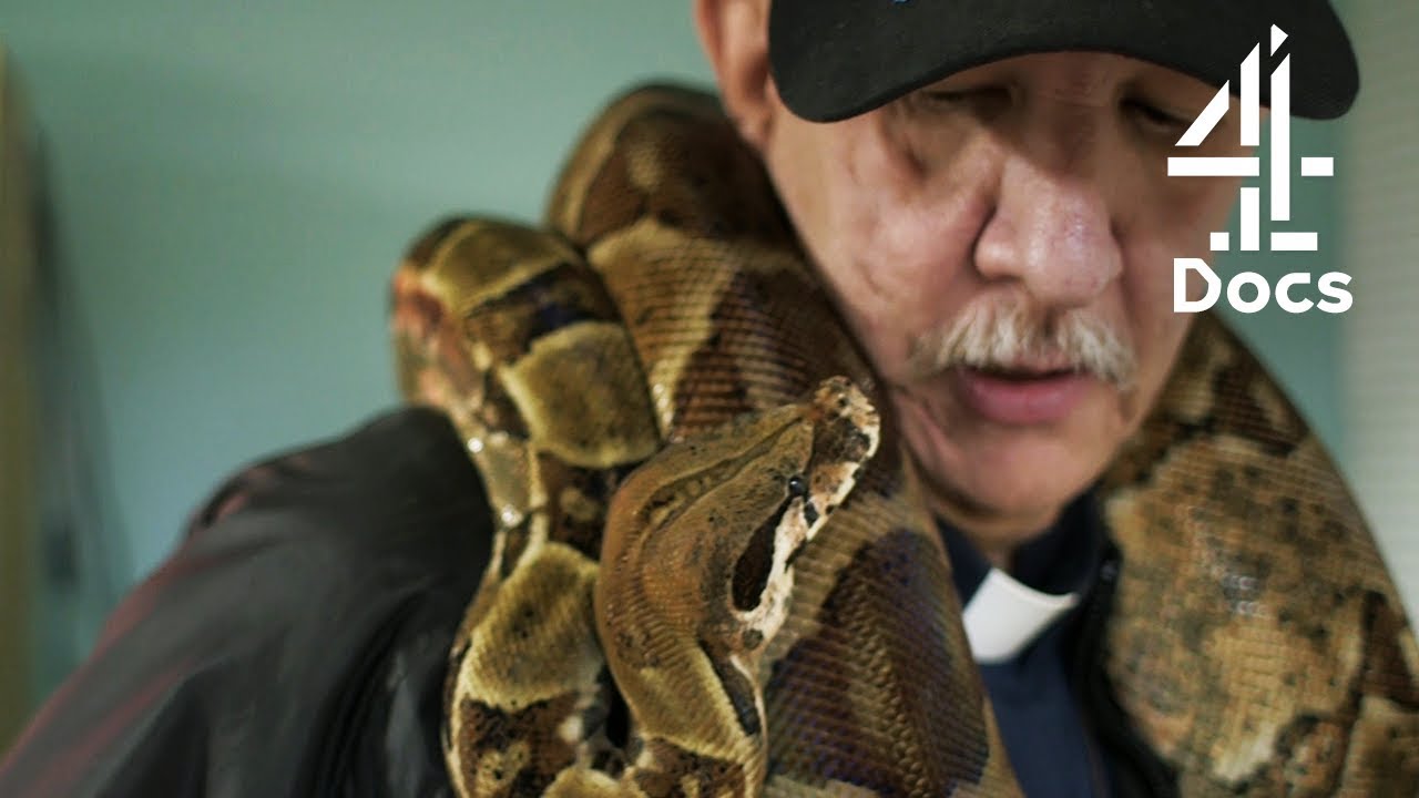 Service Animals You've Not Seen Before: Snake, Mini Horse & More