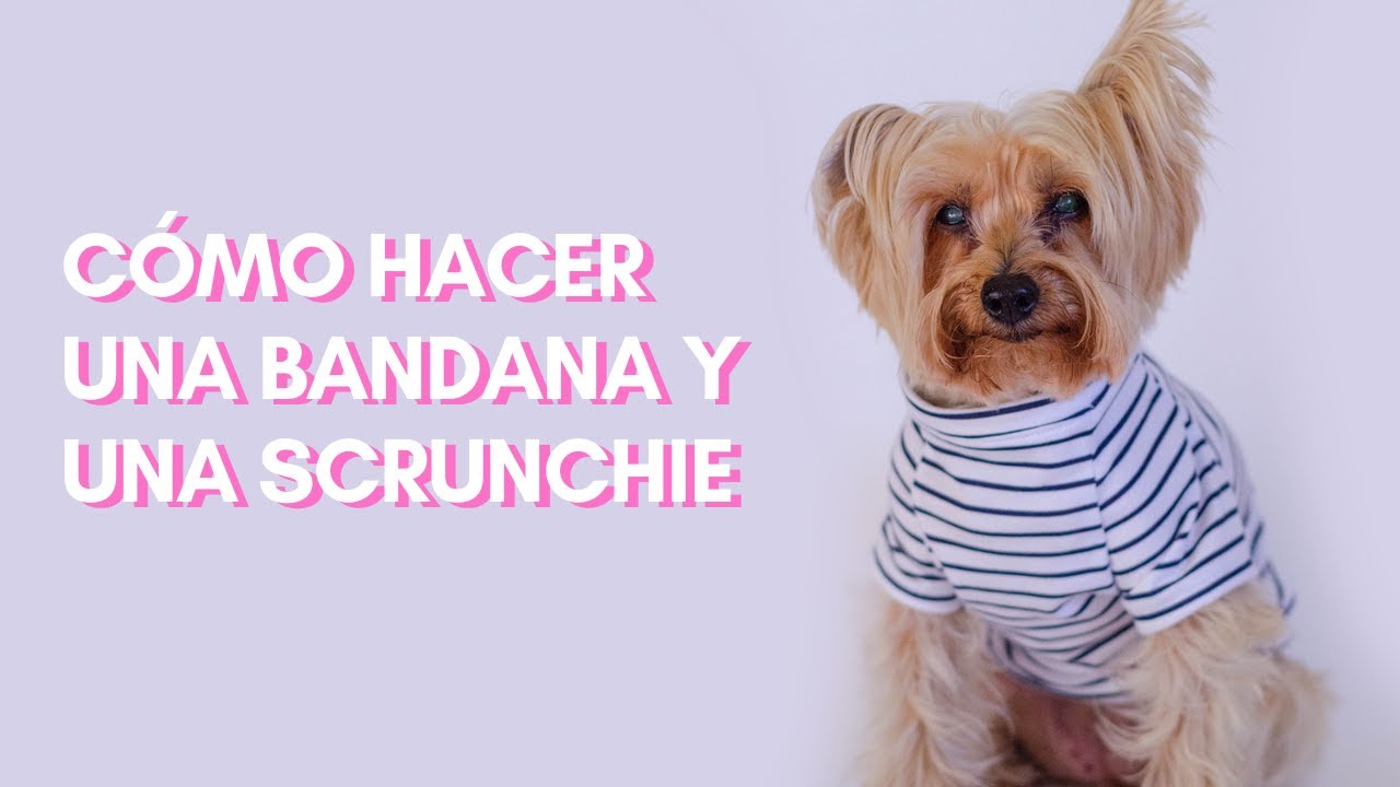 COMO HACER ROPA PARA PERROS - COMO HACER UNA BANDANA PARA PERRO - COMBINANDO CON MI PERRO