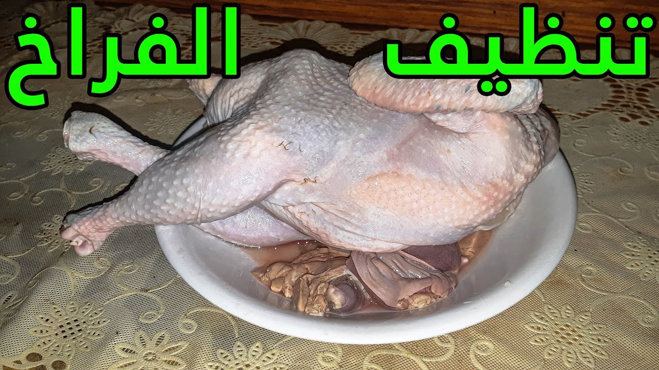 طريقة تنظيف الفراخ من الزفارة - كيفية تنظيف الدجاج بشكل صحيح