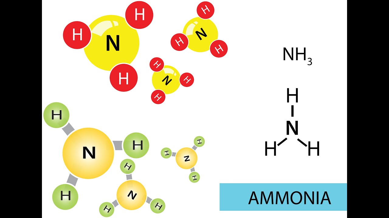 BEL Lunch  Novel methods for producing ammonia 20240227 121512 Meeting Recording