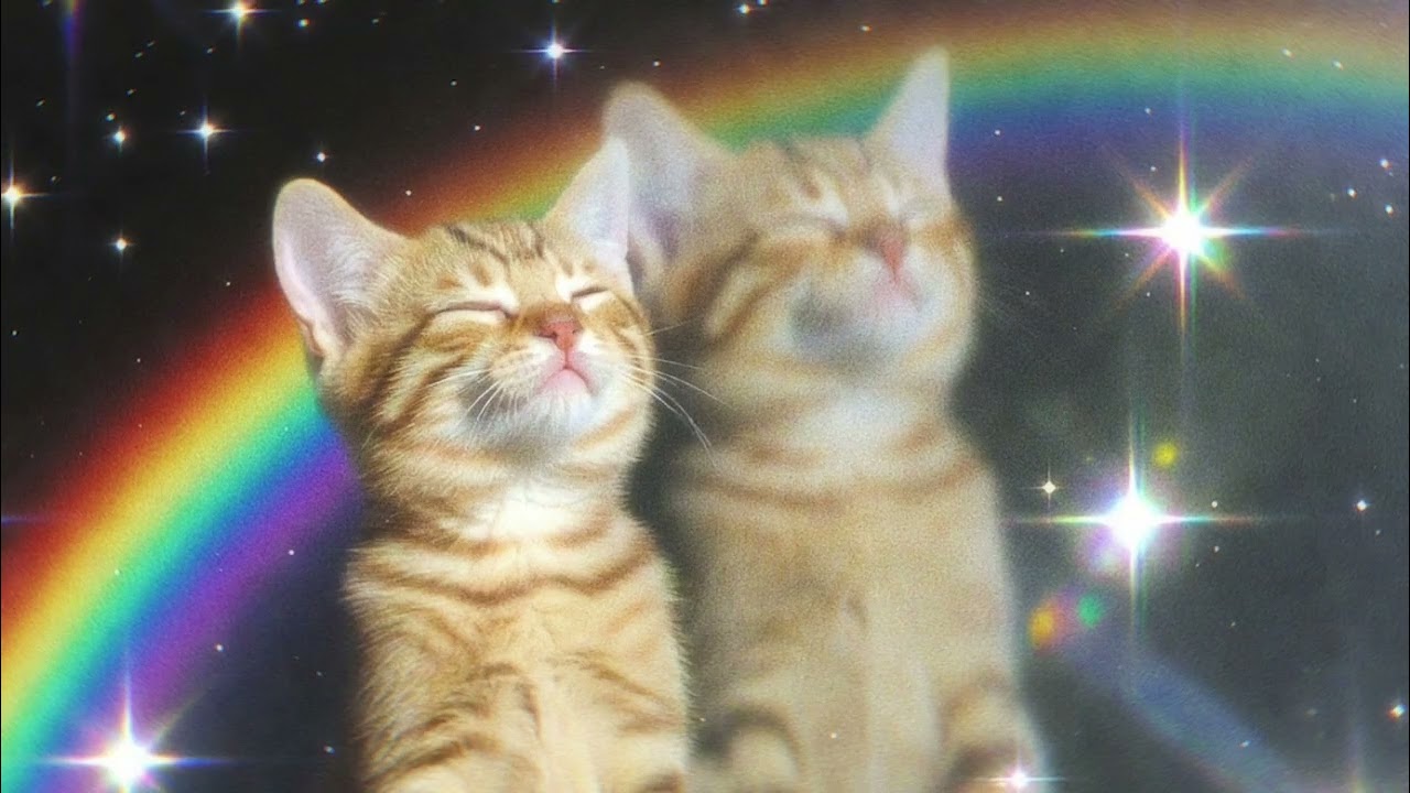 playlist | DEEP HOUSE ♩ ♪ ♫