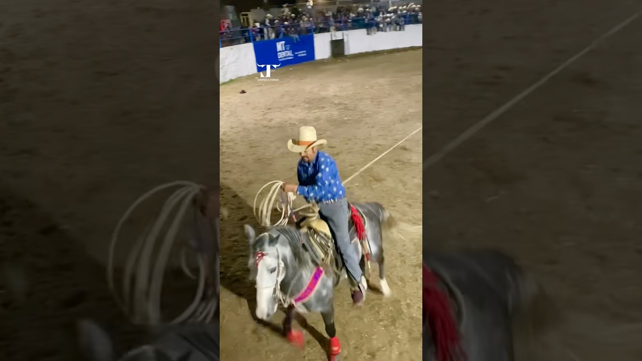 De LAZO 🐂🔥 #jaripeoranchero #jaripeos #caballos #jaripeo_ranchero #caballosfinos #jaripeodelazo