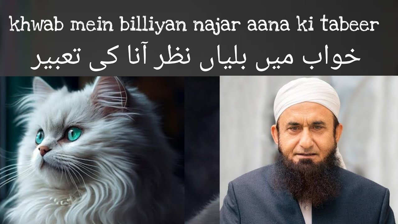 khwab mein billiyan dekhna,khwab mein billi dekhna,khwab mein billi dekhna ki tabeer