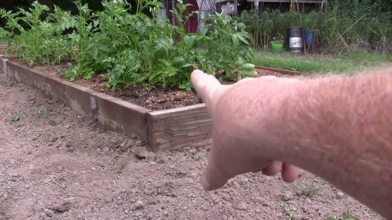 When not to use a 4 foot wide grow box in your Mittledier garden