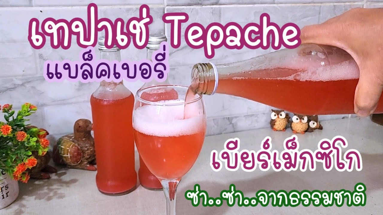 เทปาเช่แบล็คเบอรี่ เบียร์เม็กซิโก หมัก 5 วัน ทำเบียร์ดื่มเองง่ายๆ Blackberry Tepache  Mexican beer