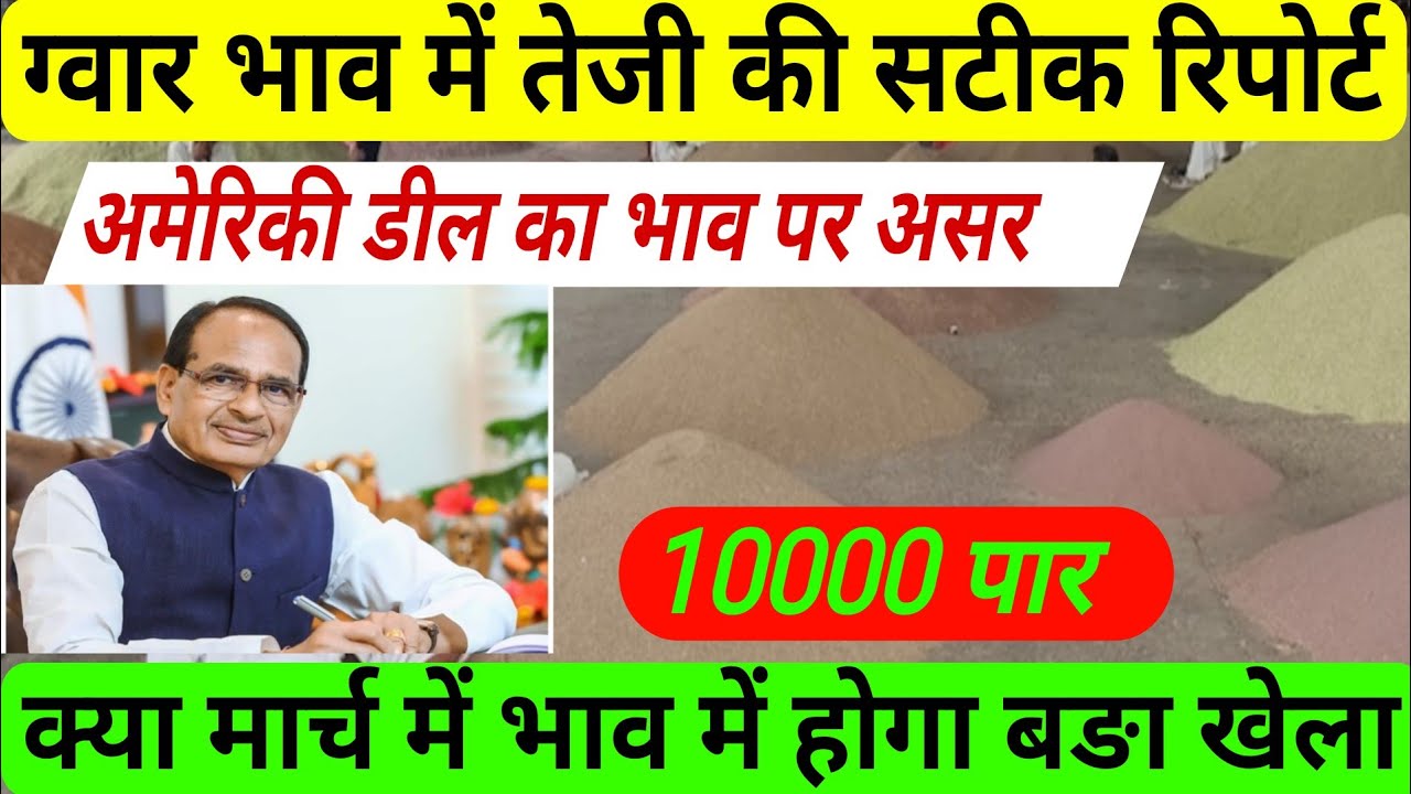 ग्वार भाव पर अमेरिकी डील का कितना असर?तेजी कब आएगी तारिख के साथ सटीक रिपोर्ट। #farming 