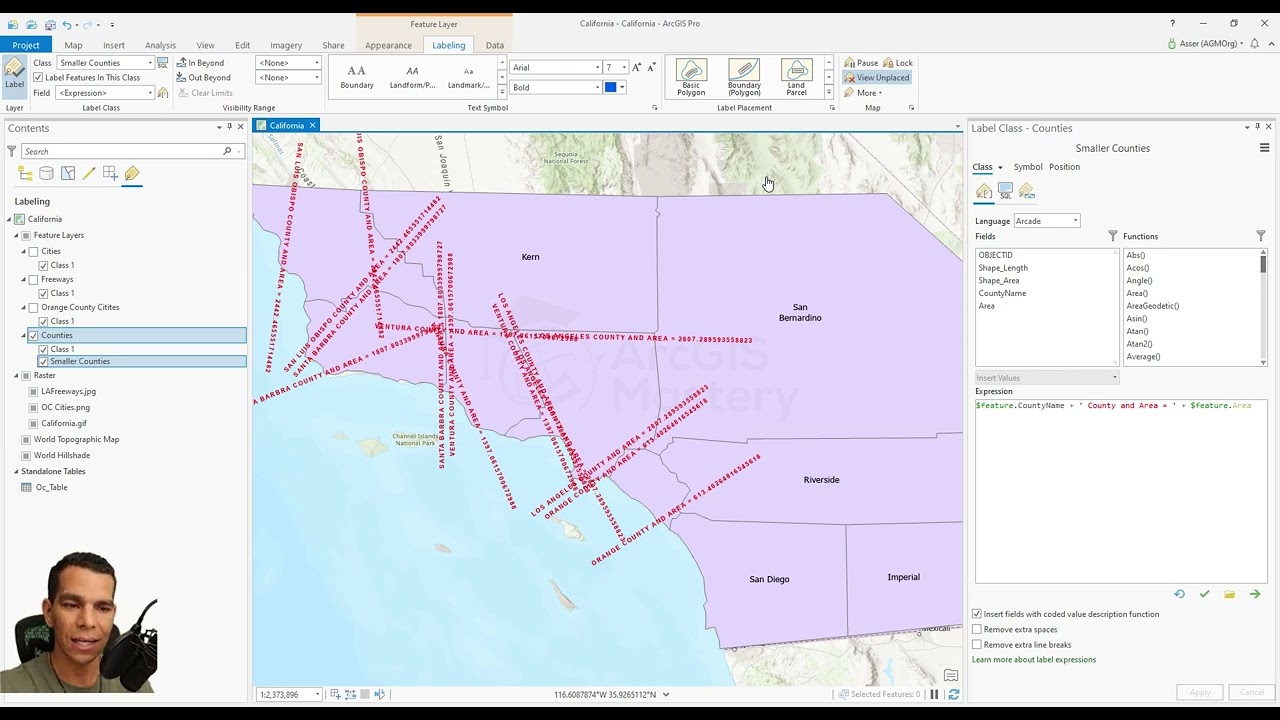 ArcGIS Pro, Create Labels