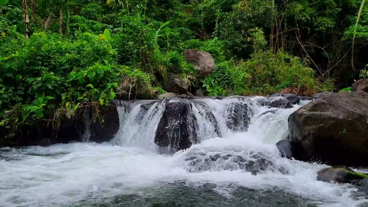 Gentle Stream Ambience • 1 Hour Water Background Noise for Focus, Study, and Mental Productivity 4K