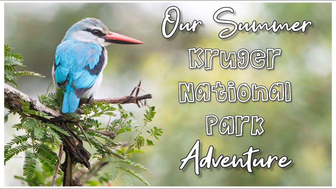 Our Kruger National Park Summer Adventure, leaving a day before the floods began!