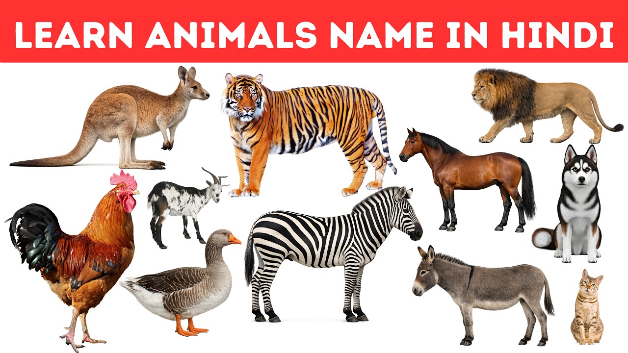 Learn Animal Names with Sounds for Kids 🐯 | Animals Name in Hindi & English