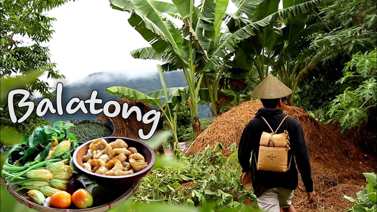 Cooking Ginisang MUNG BEANS with 