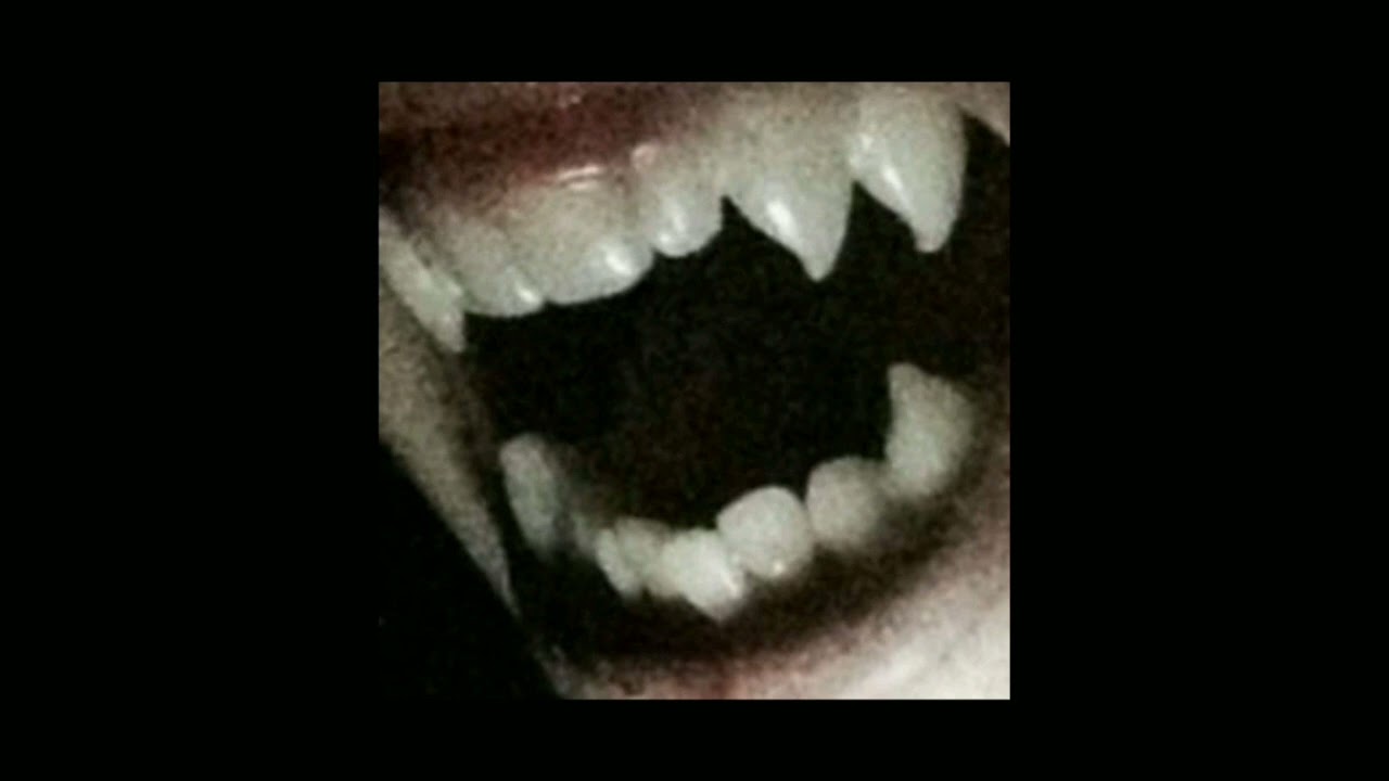 jvla - such a (slowed - reverb)
