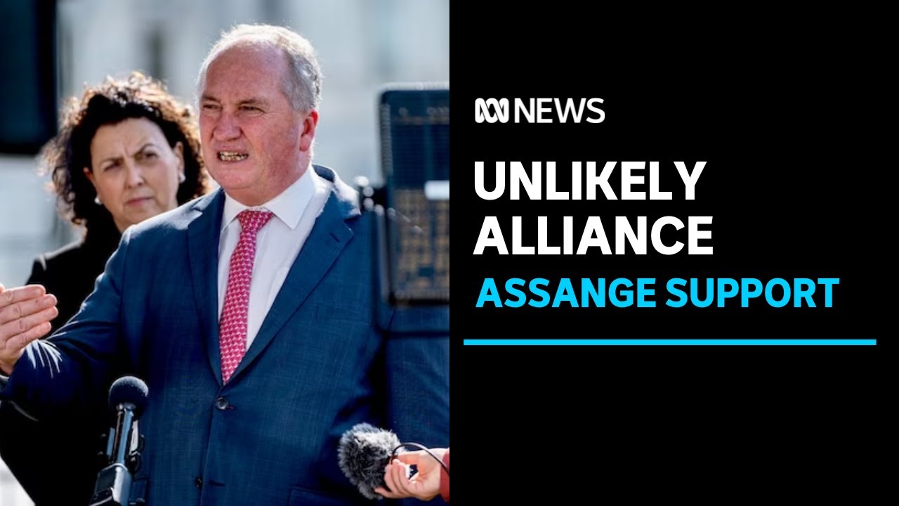 Push to free Julian Assange unites cross-party delegation in US | ABC News