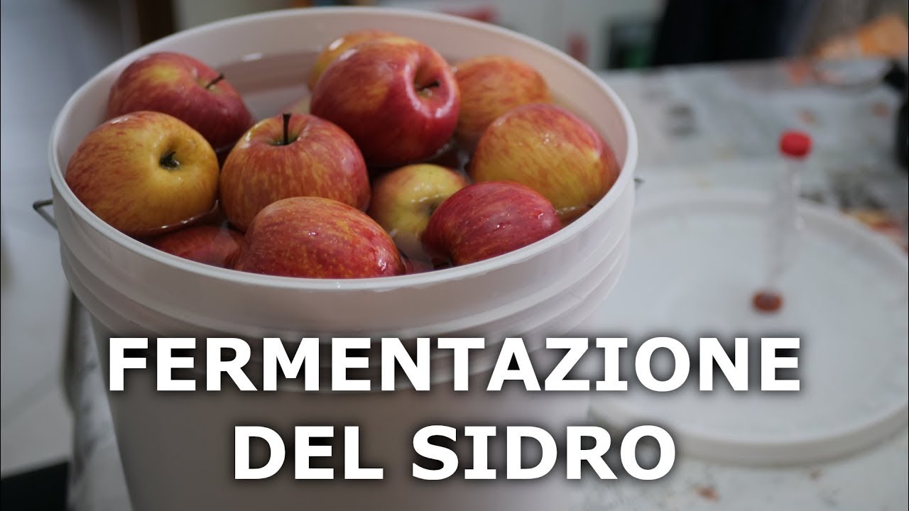 Sidro di mele