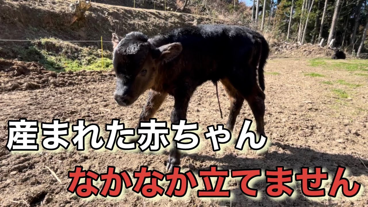 一歩前へ