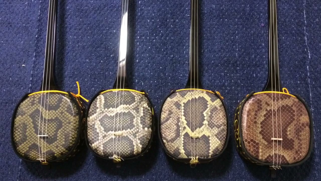 人工皮ランクの違いによる、三線の音の違いを比較する