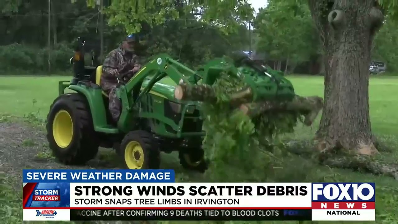 Strong storms leave residents with clean up job after winds scatter debris throughout Irvington