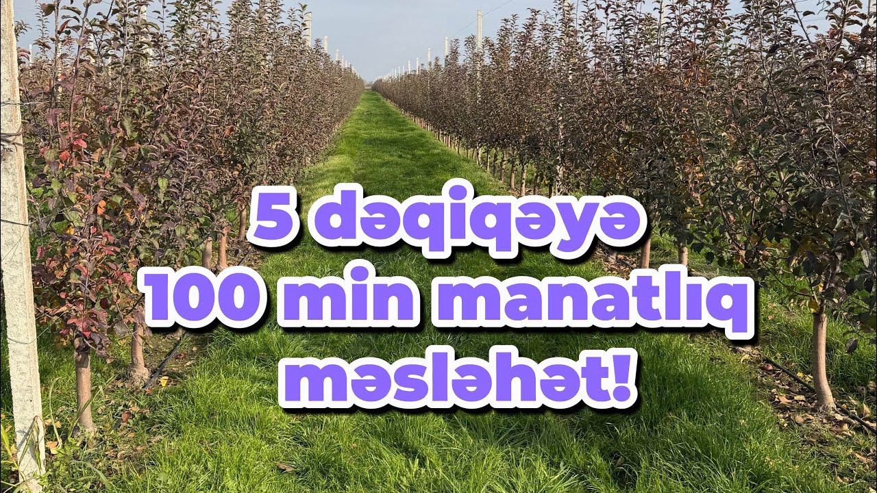 5 dəqiqəyə 100 min manatlıq məsləhət. Videoya axıra  qədər baxın, artıq xərclərdən uzaq olun!
