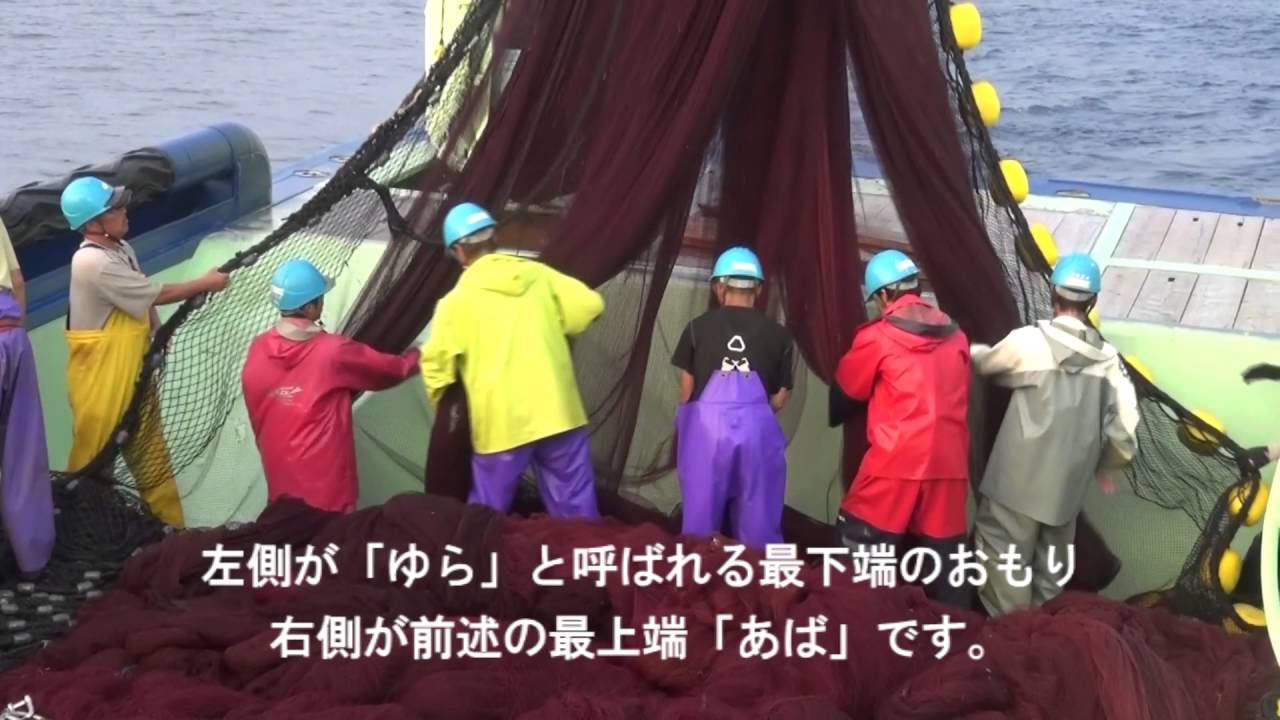 第56金比羅丸 ②試験操業風景_網揚げ～魚取り他