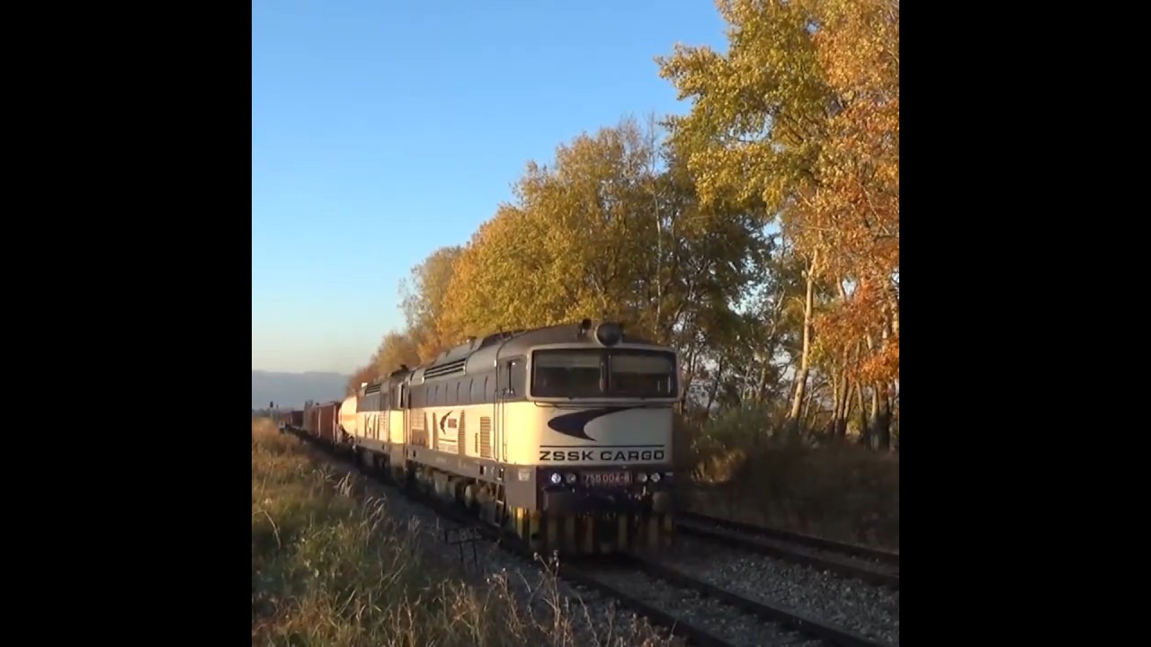Plachetnice ZSSKC 756.004+756.002 Pn 65311 #shorts #short #train