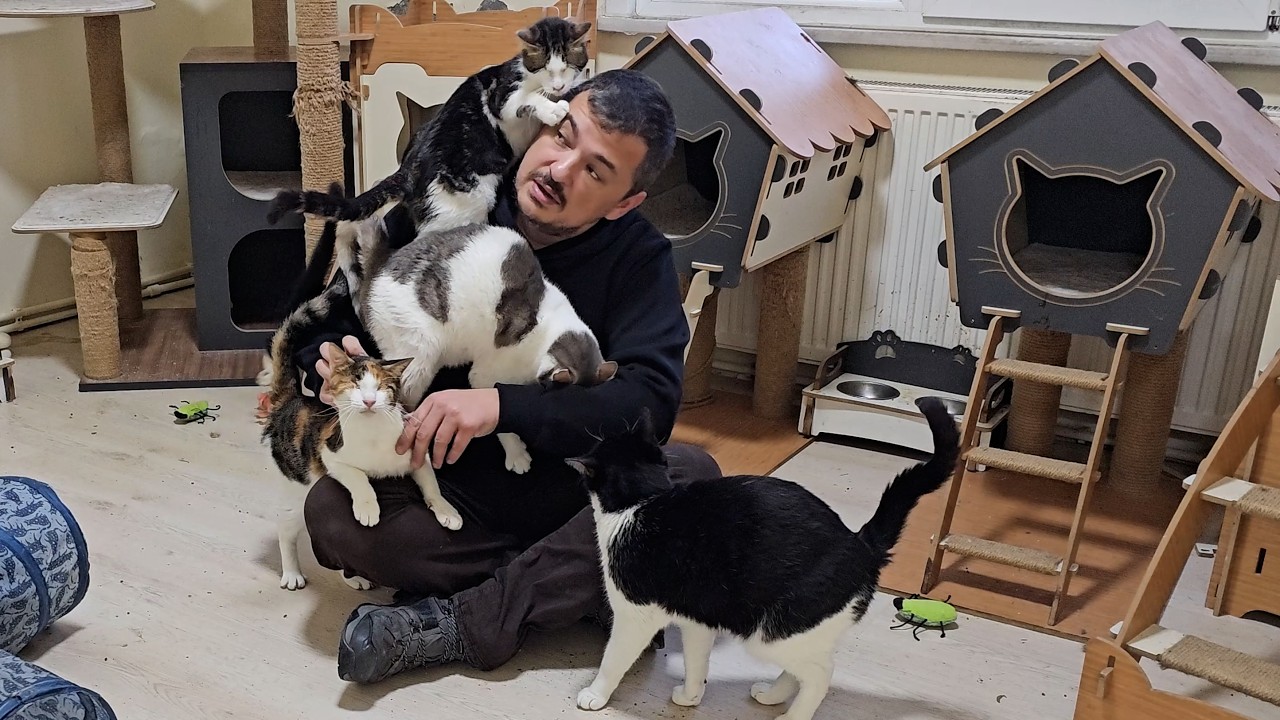 Мужчина, который находит счастье, держа в своих объятиях спасённых им кошек и нежно гладя их.