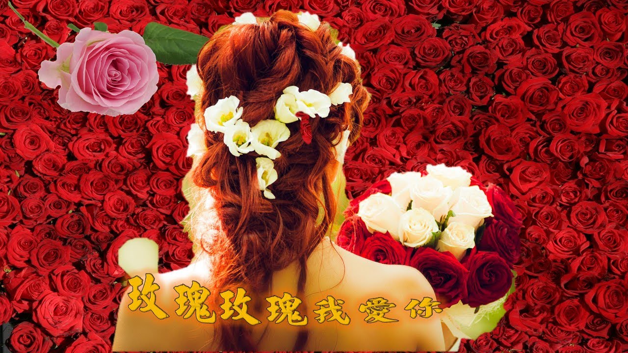 卓依婷---玫瑰玫瑰我愛你（懷念經典老歌)