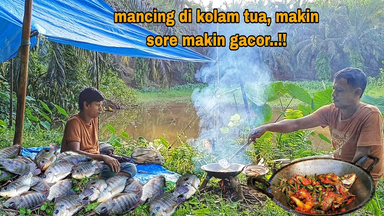 MANCING DI KOLAM TUA || PEMILIK NYA DATANG