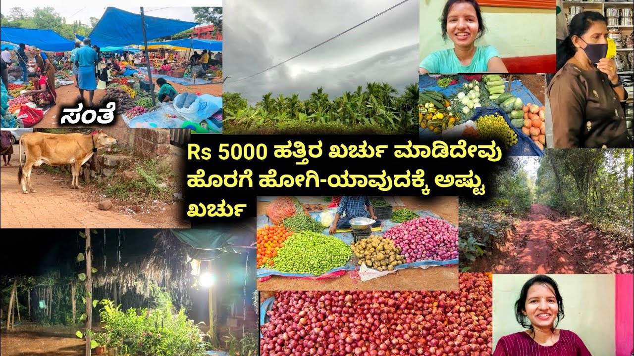 Rs 5000 ಹತ್ತಿರ ಖರ್ಚು ಮಾಡಿದ್ದೇವೆ ಹೊರಗೆ ಹೋಗಿ-ಯಾವುದಕ್ಕೆ ಅಷ್ಚು ಖರ್ಚು ಆಯ್ತು|Halli mane vlogs|Kannada Vlog
